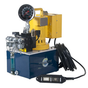 Electric 10,000 psi 4 Port Hydraulic Pump with Remote and Gauge.